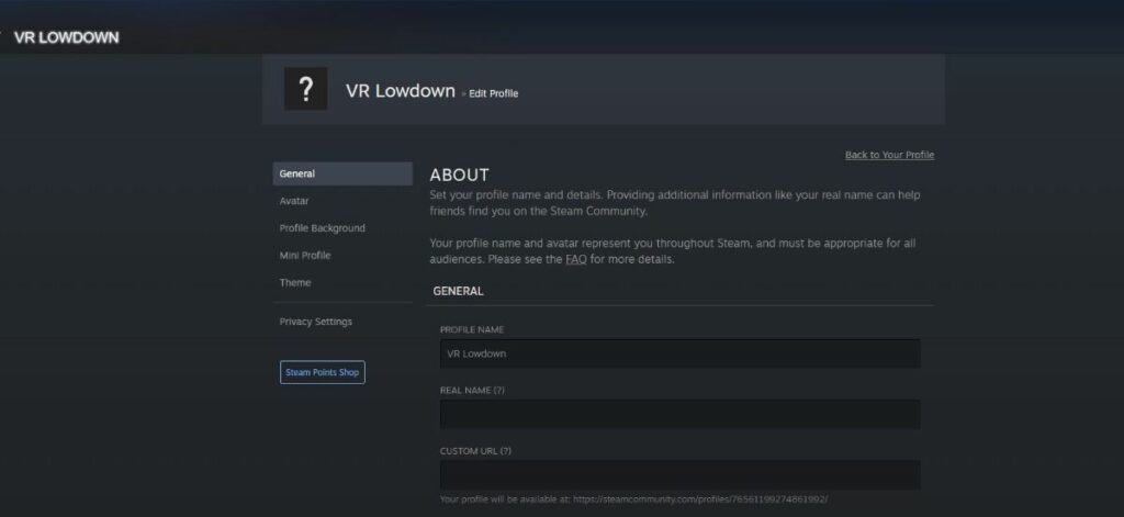Changing Steam Username to adjust VRChat display name